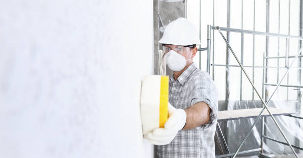 Why You Should Choose Our Mold Remediation Services in West Hamburg, PA